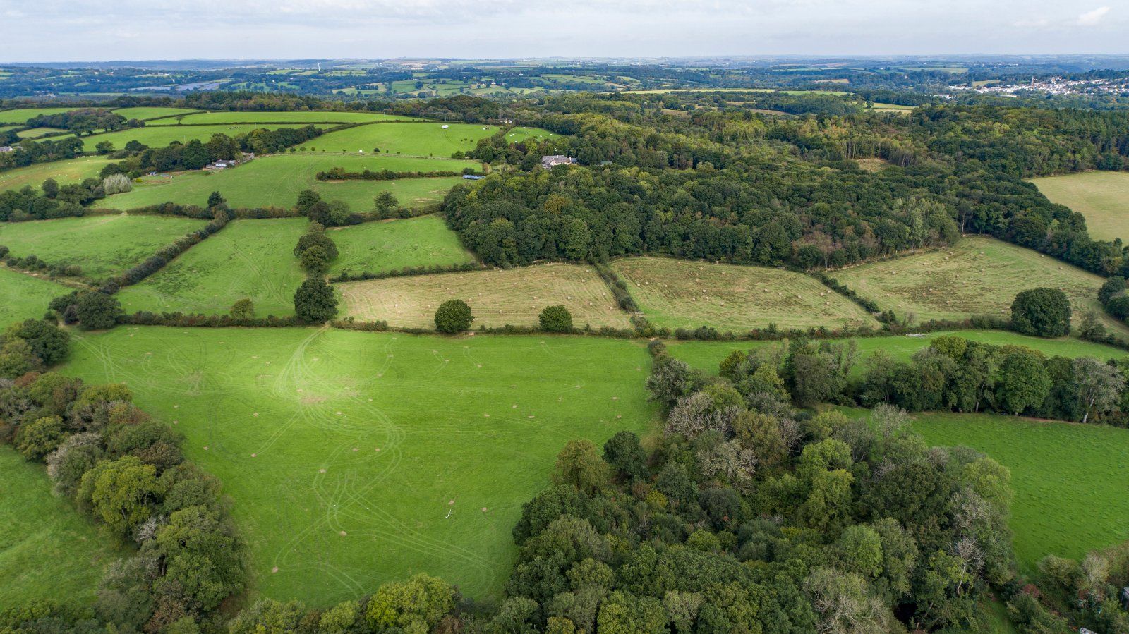 Farmland