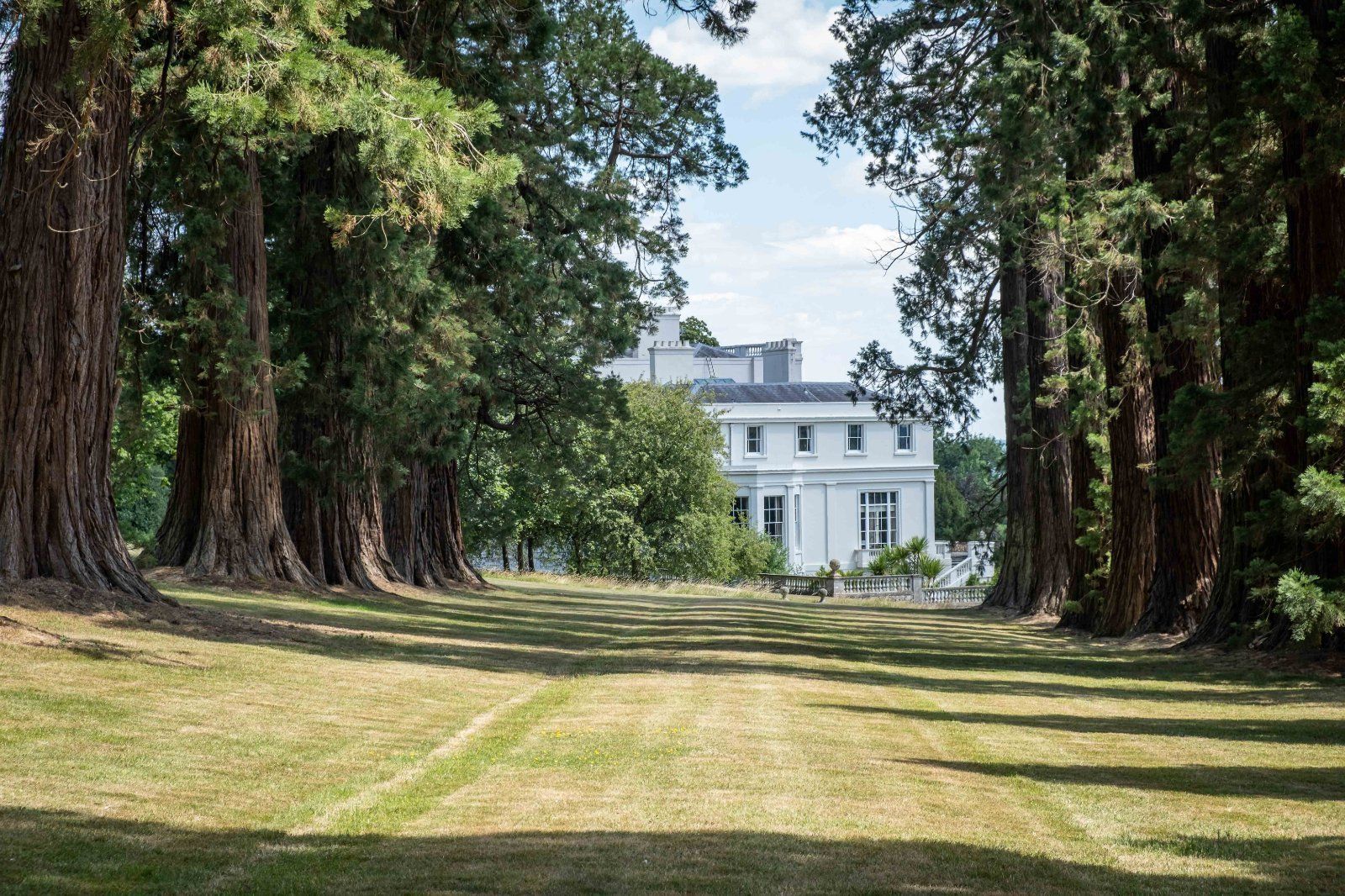 The Sequoia Avenue