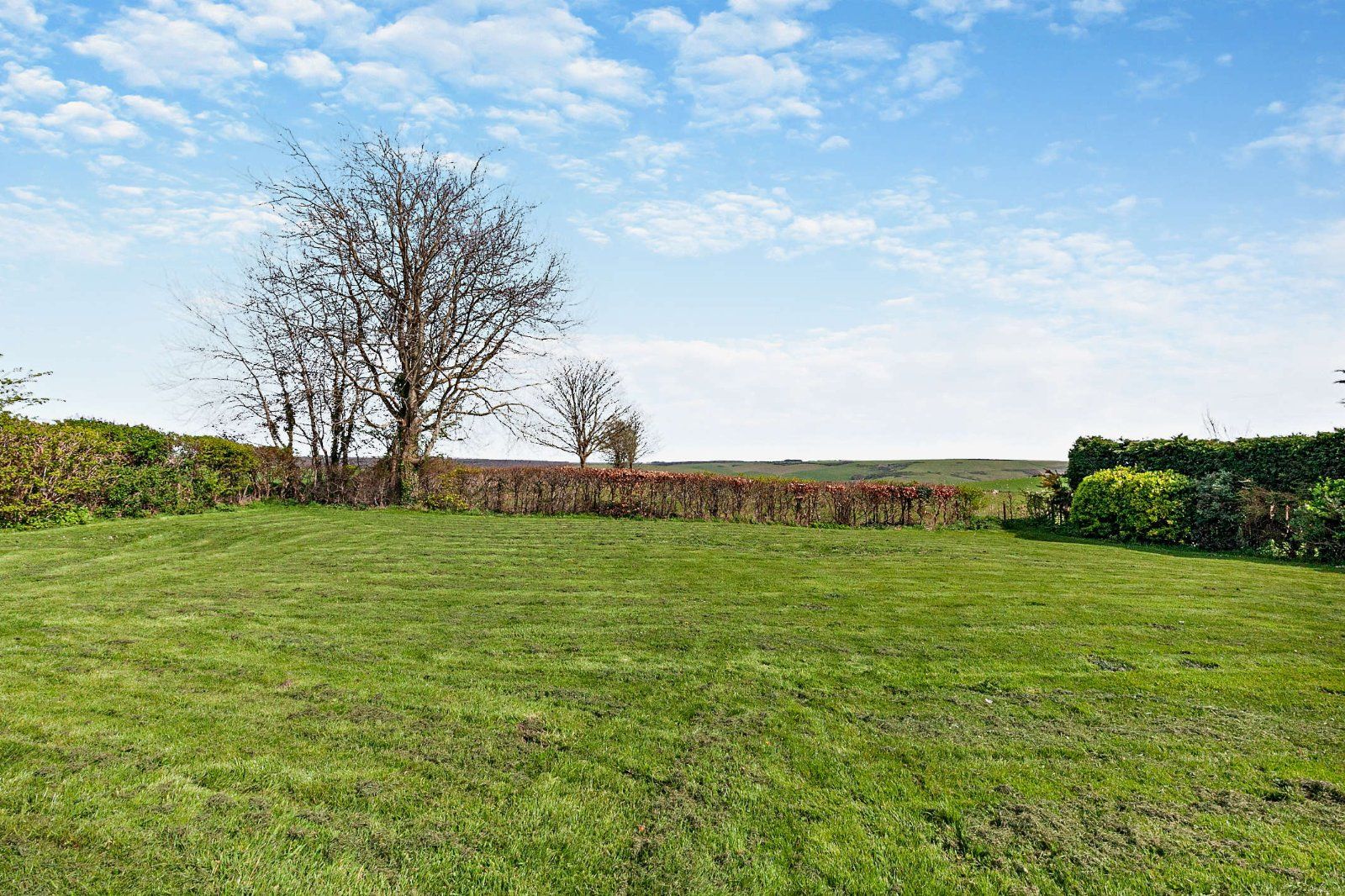 Small Paddock
