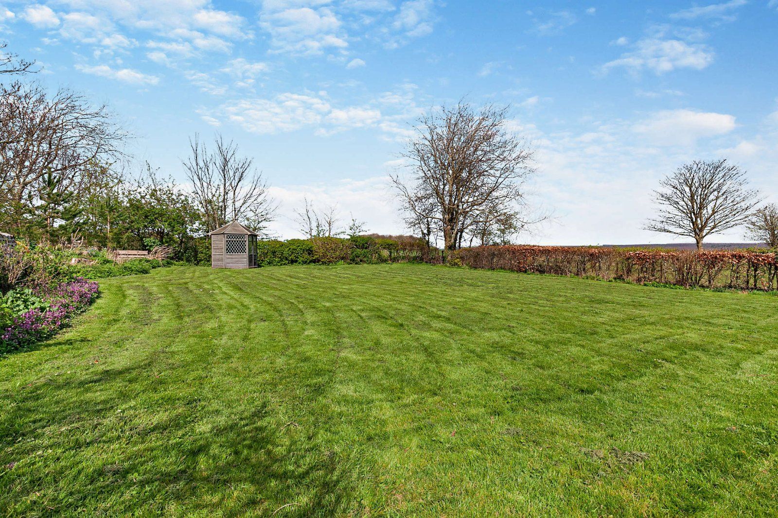 Small Paddock