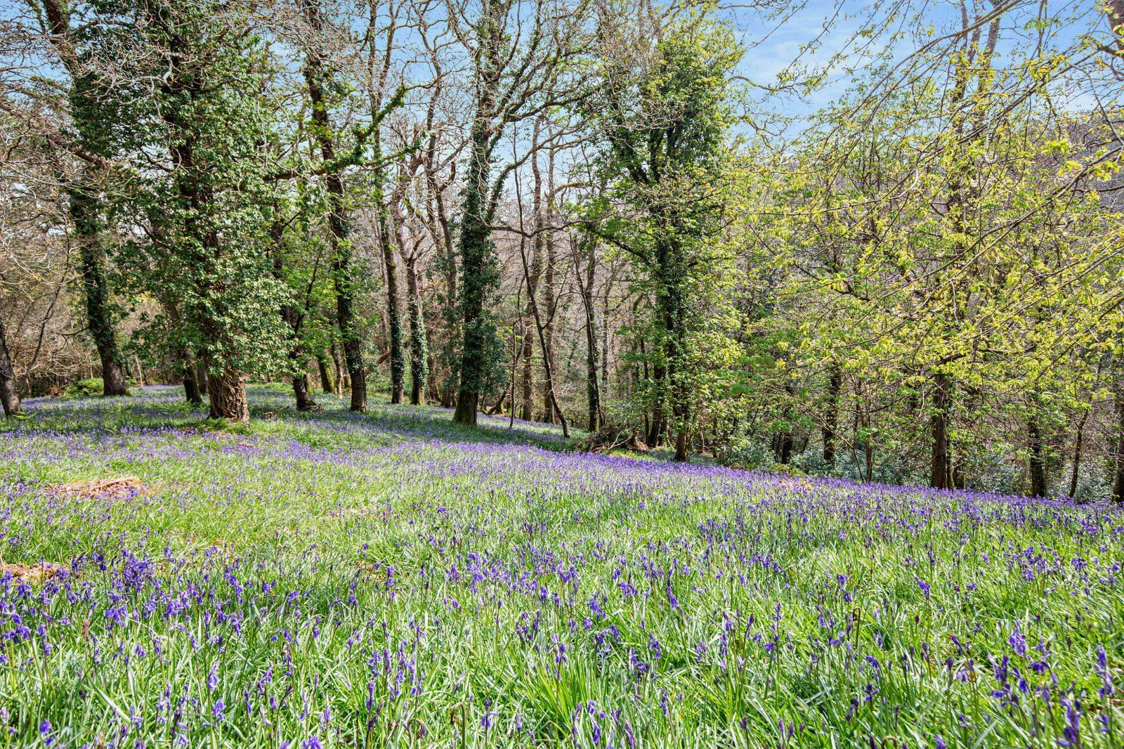 Grounds