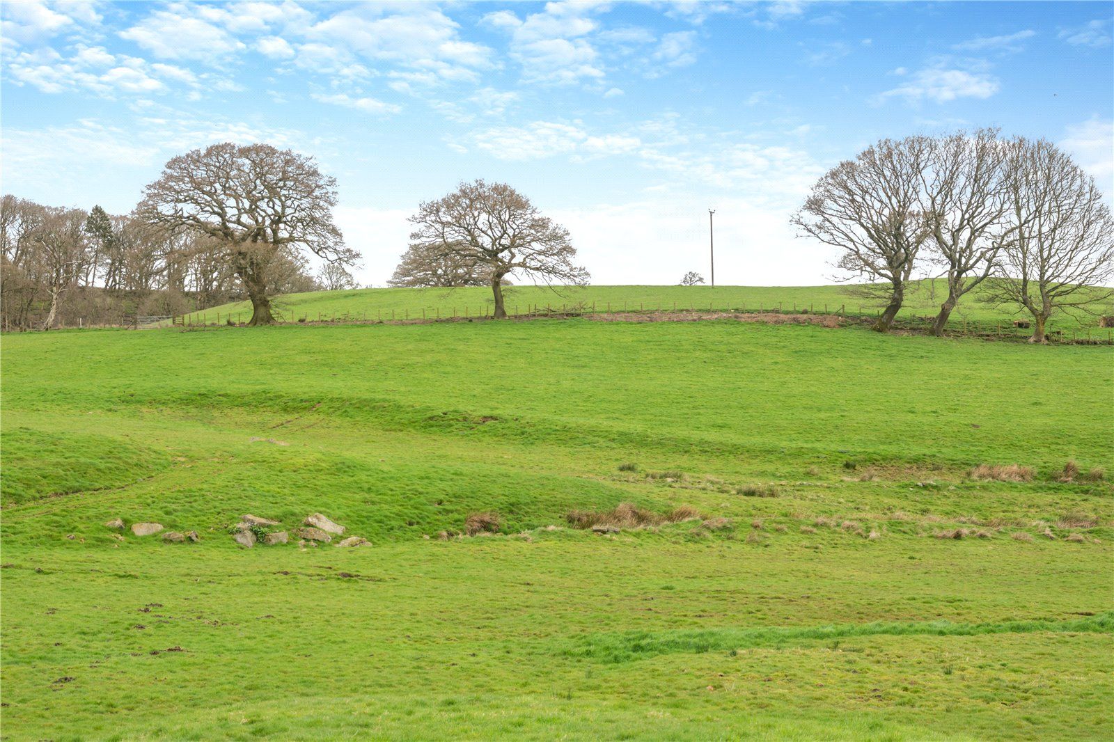 Land