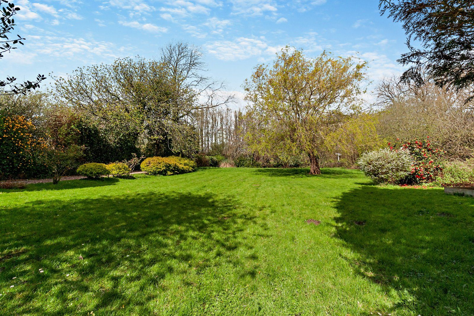 Front Garden