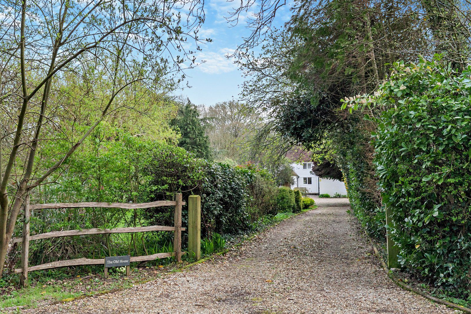 Driveway