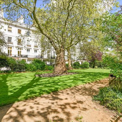 Stunning Gardens