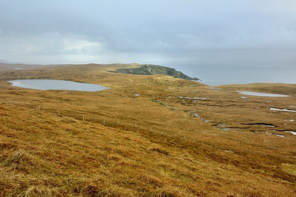 Lot 1 - Graveland