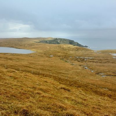 Lot 1 - Graveland