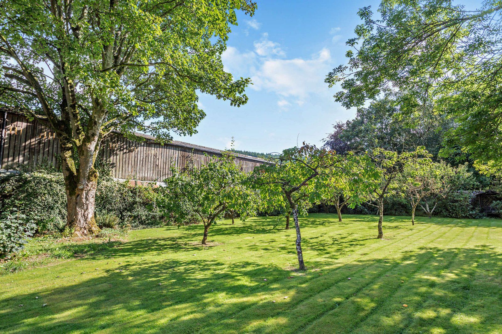 Walled Garden