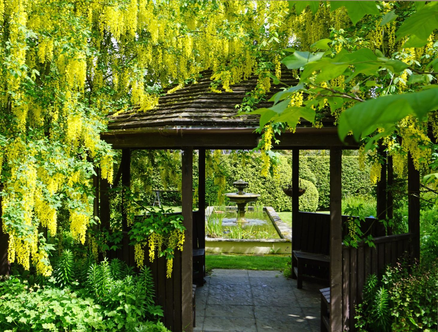 Walled Garden