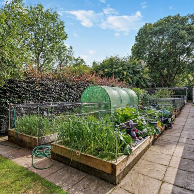 Walled Garden