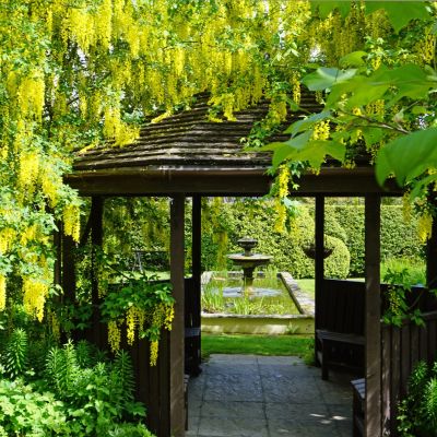 Walled Garden