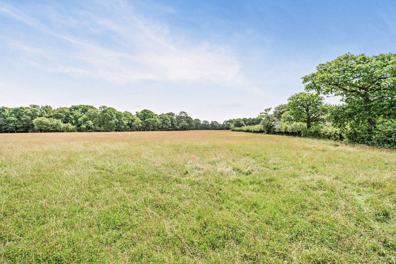 Grounds