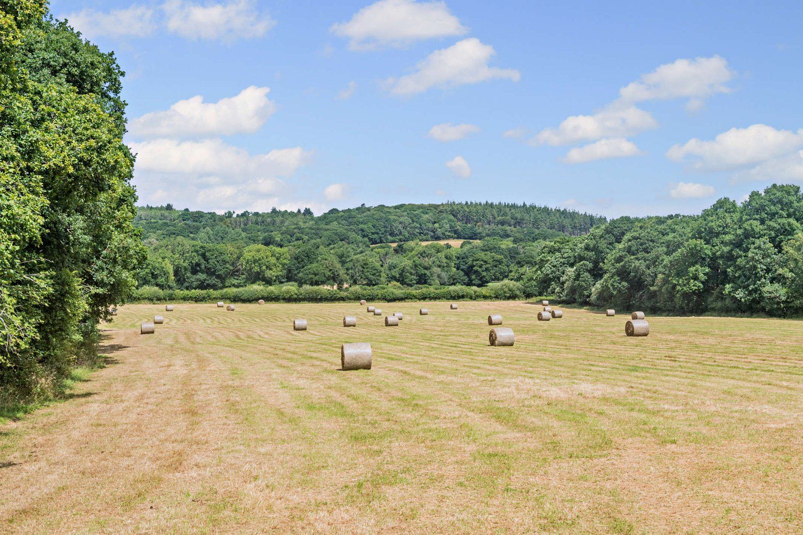 Grounds
