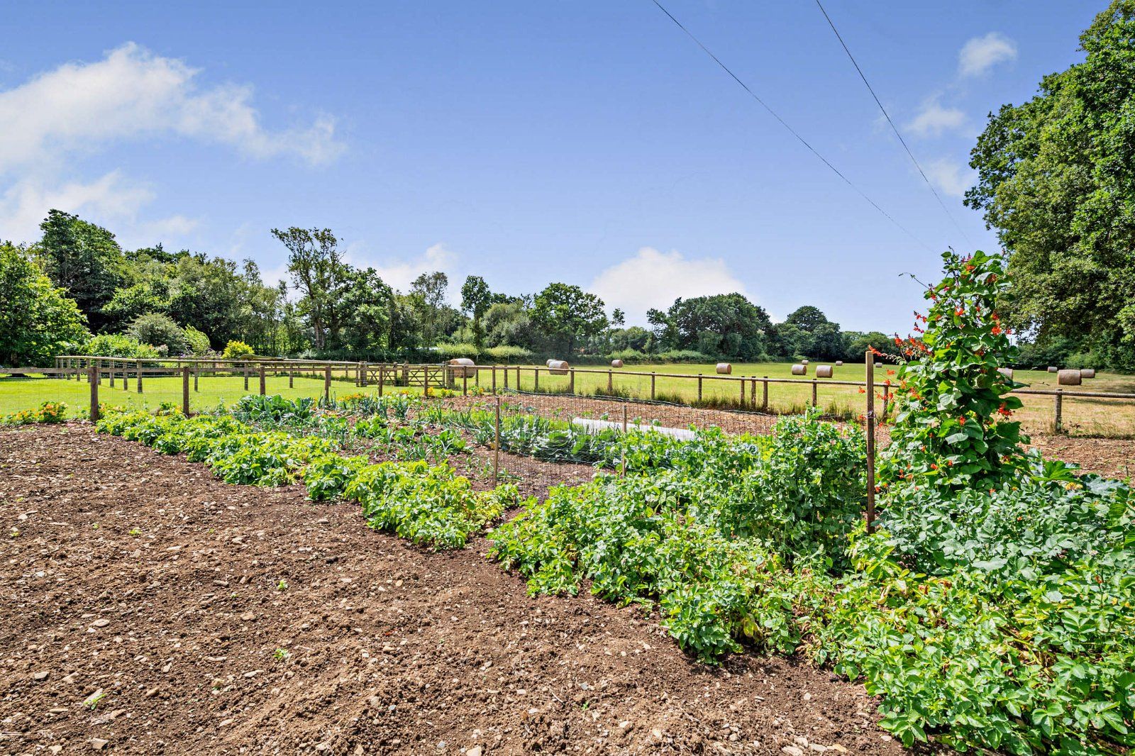 Grounds