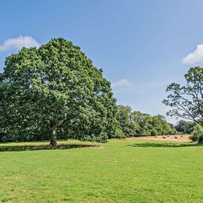 Grounds