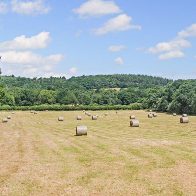 Grounds