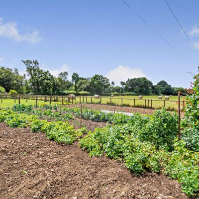 Grounds