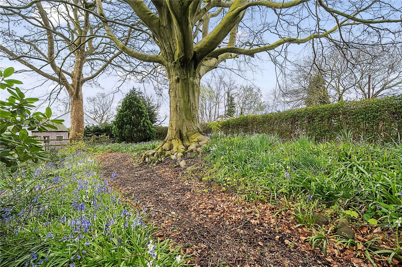 Grounds