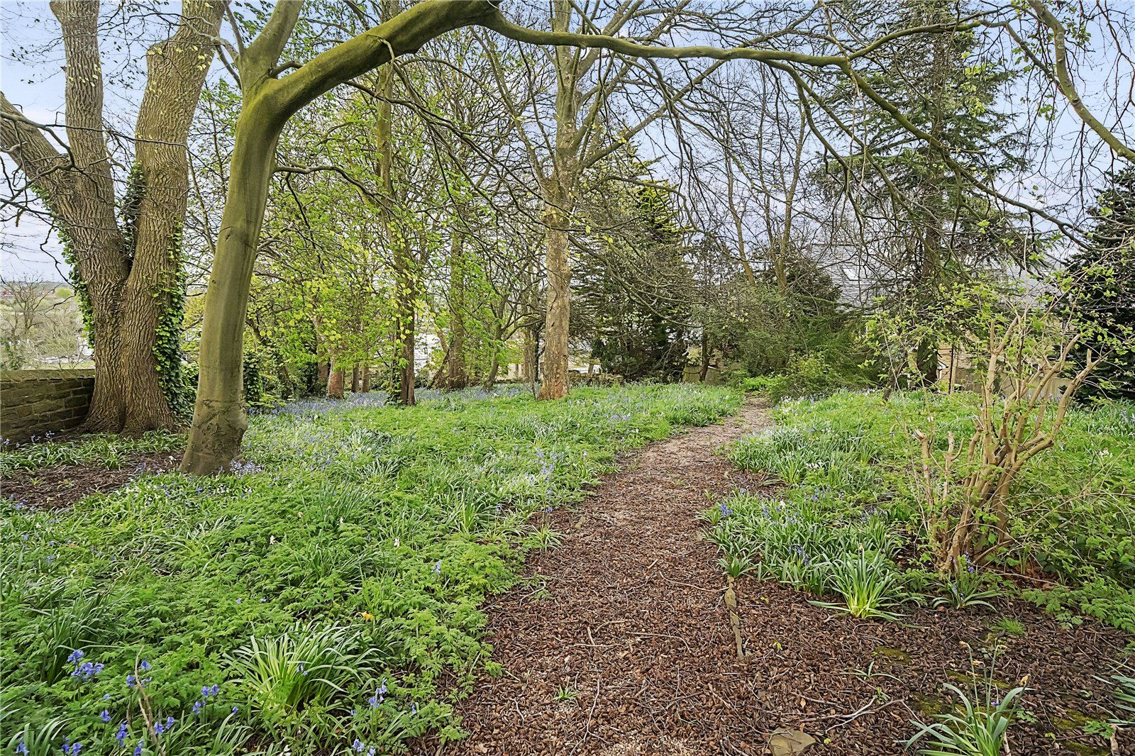 Grounds