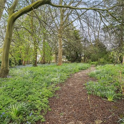 Grounds