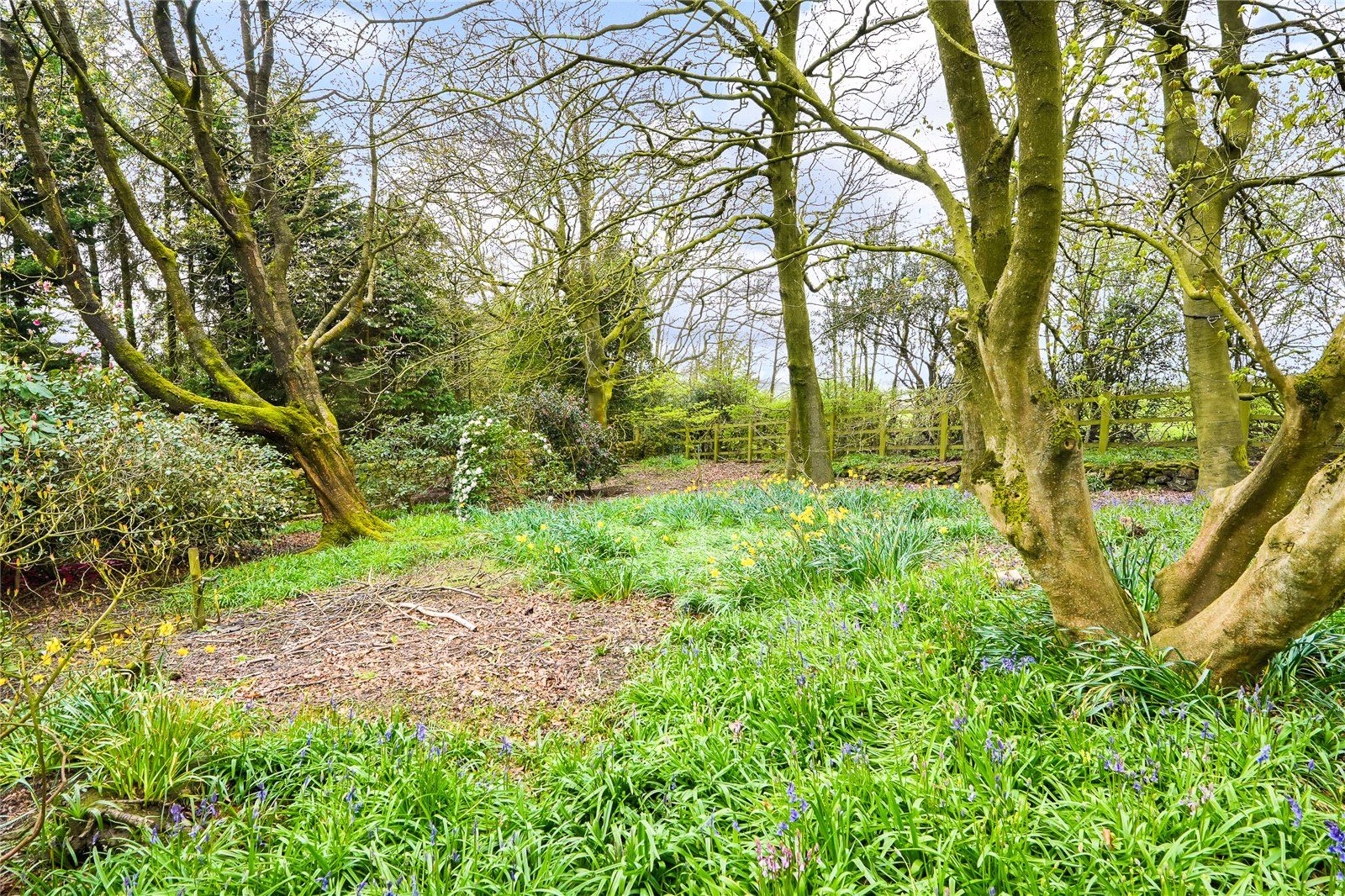 Grounds