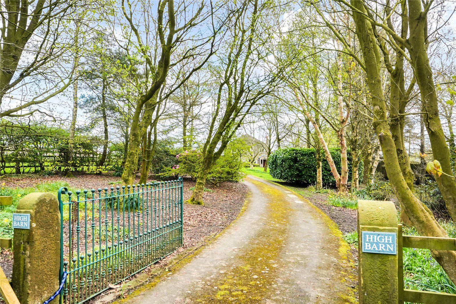 Driveway