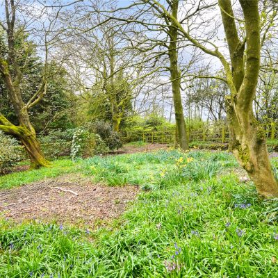 Grounds