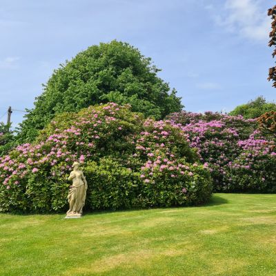 Ample Gardens