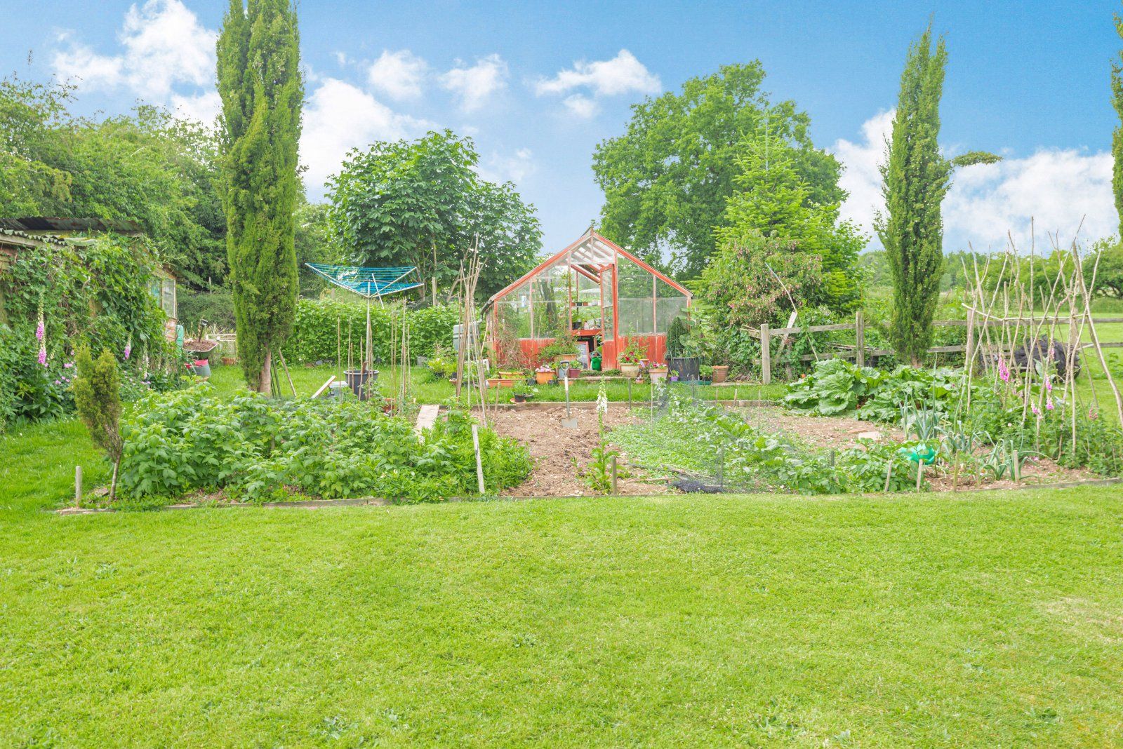 Vegetable Garden