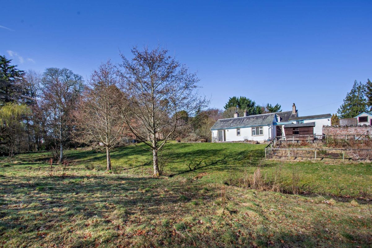 Balloch Strutt & Parker