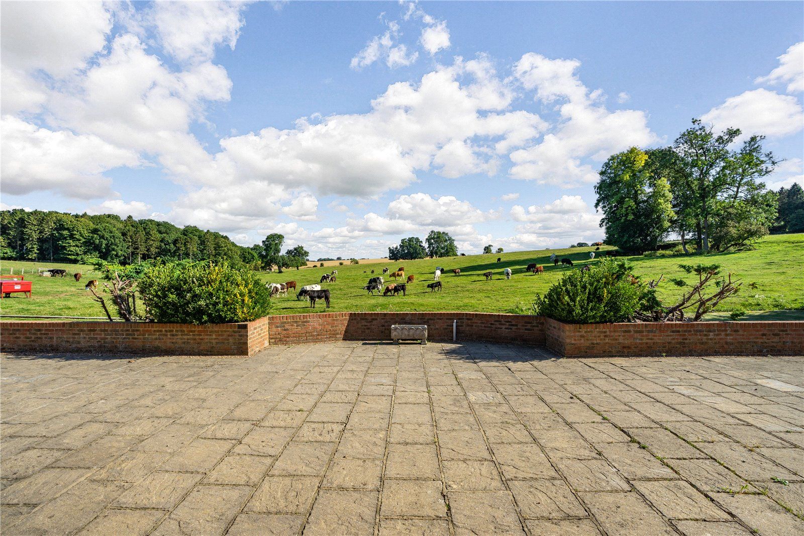 Terrace and Views