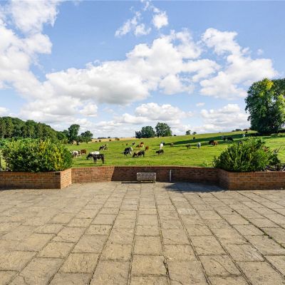 Terrace and Views