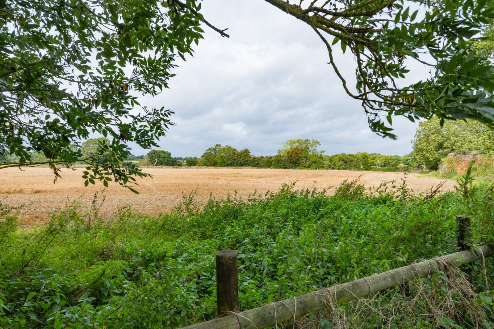 Countryside Views