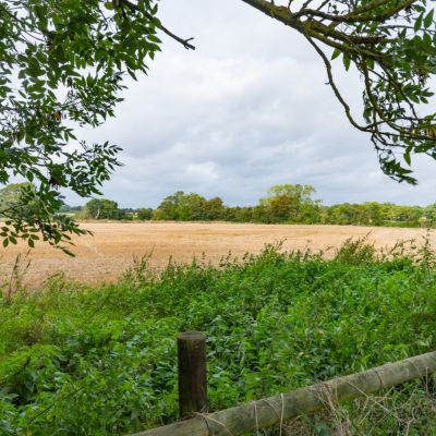 Countryside Views