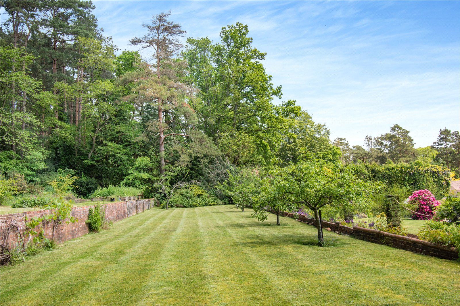 Top Garden - Plot