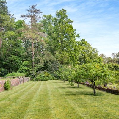 Top Garden - Plot