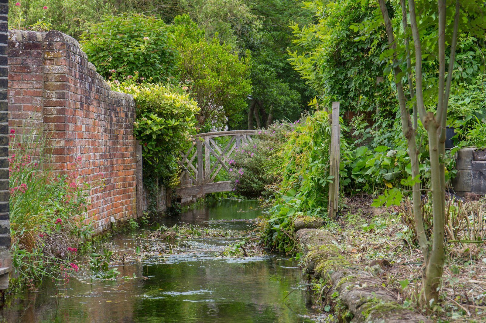 Bosham Lane Strutt & Parker