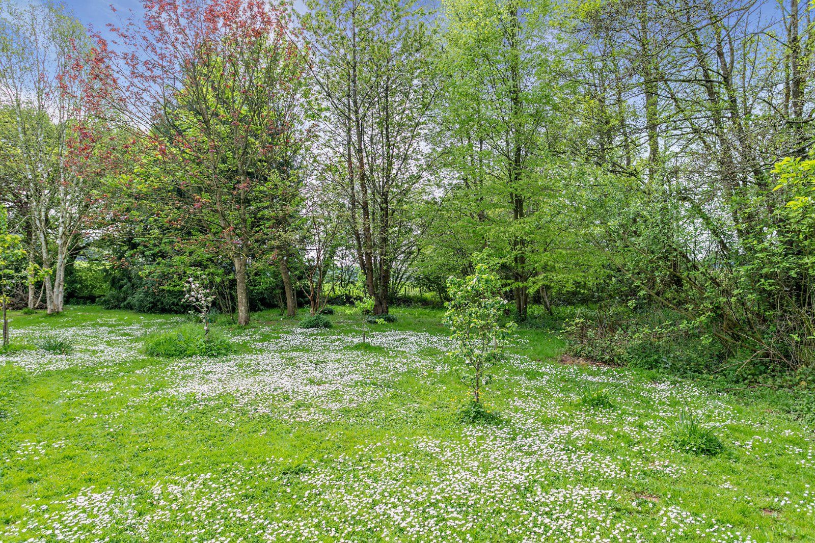 Grounds