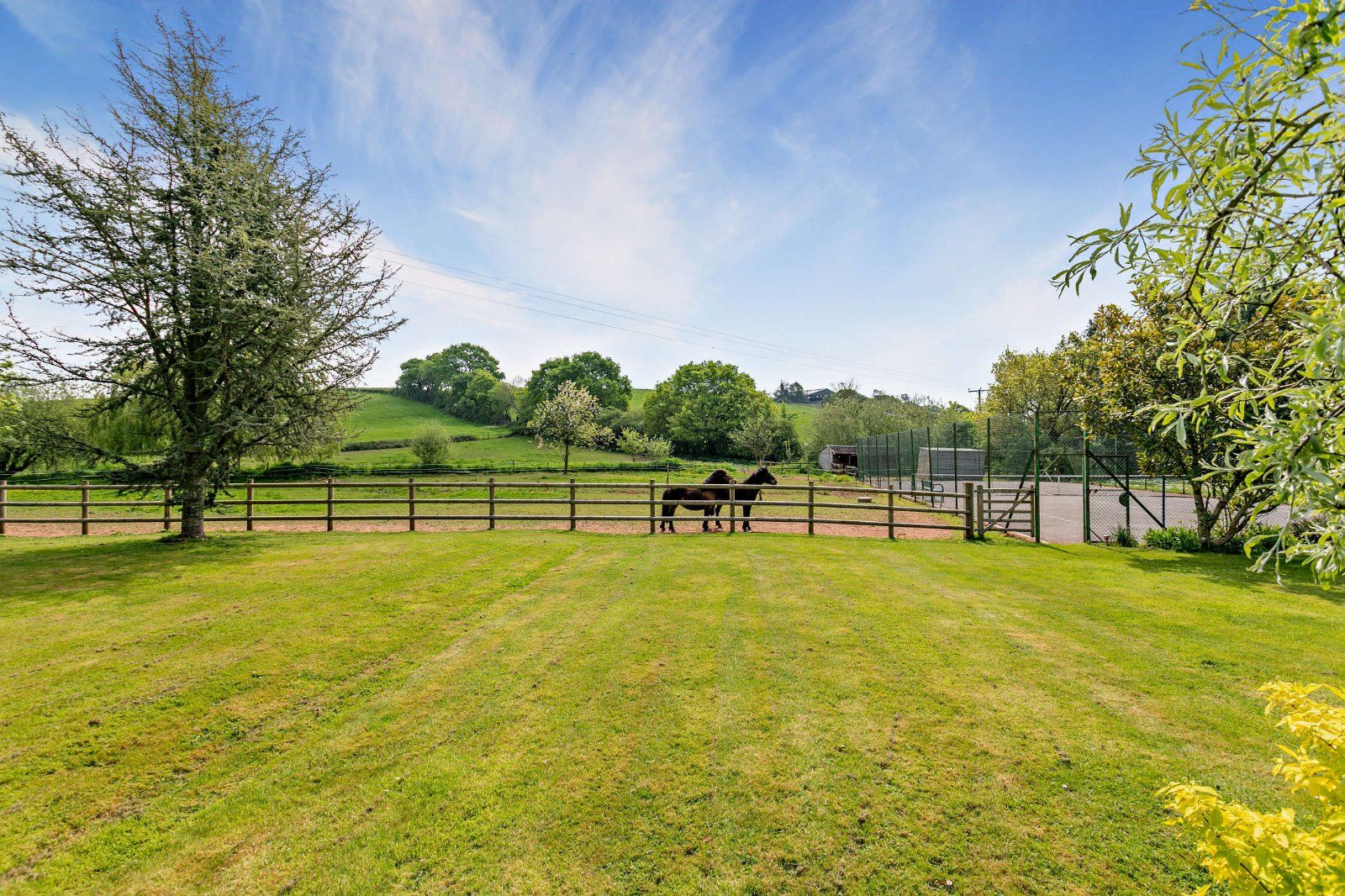 Grounds