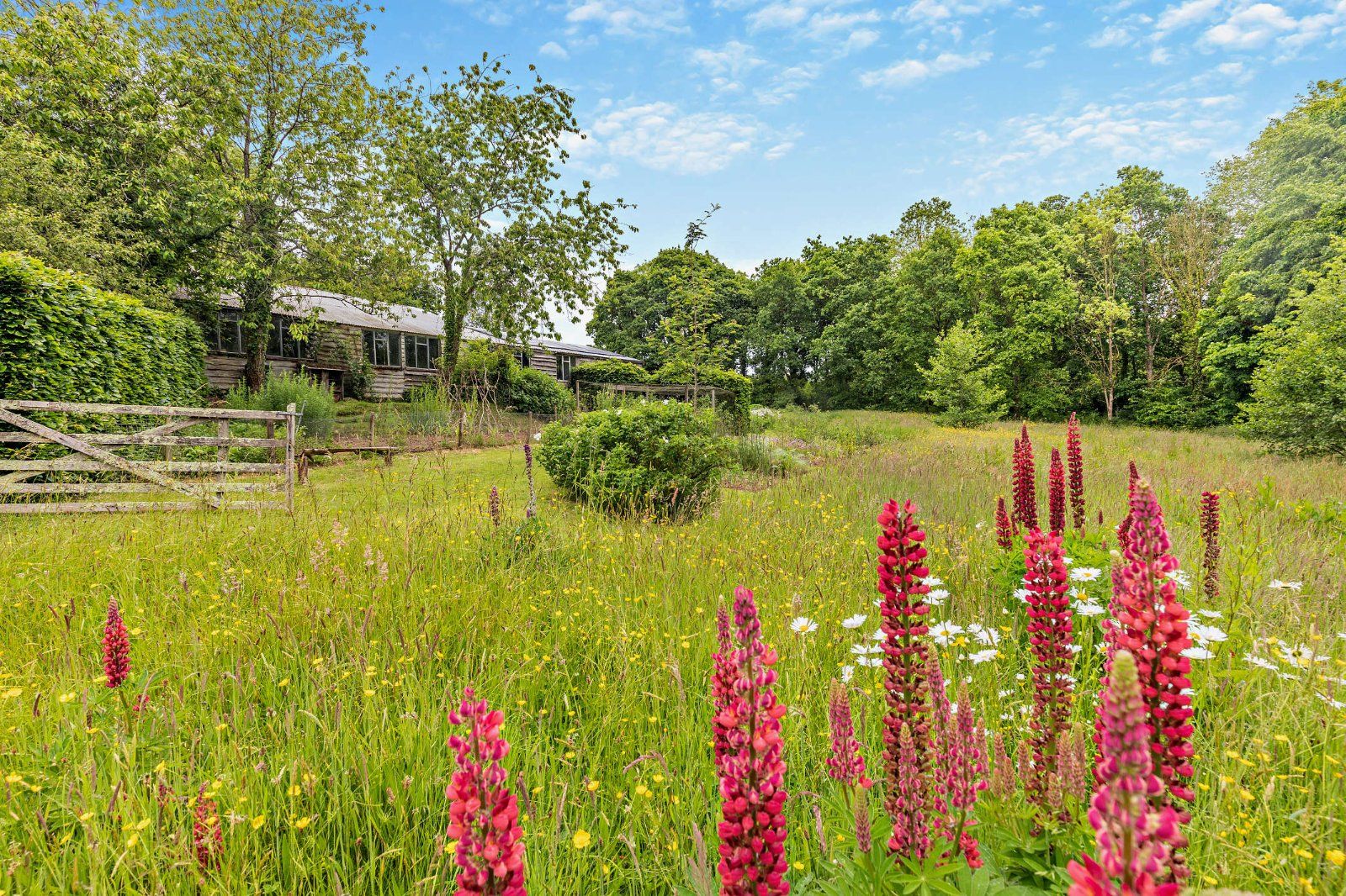 Grounds