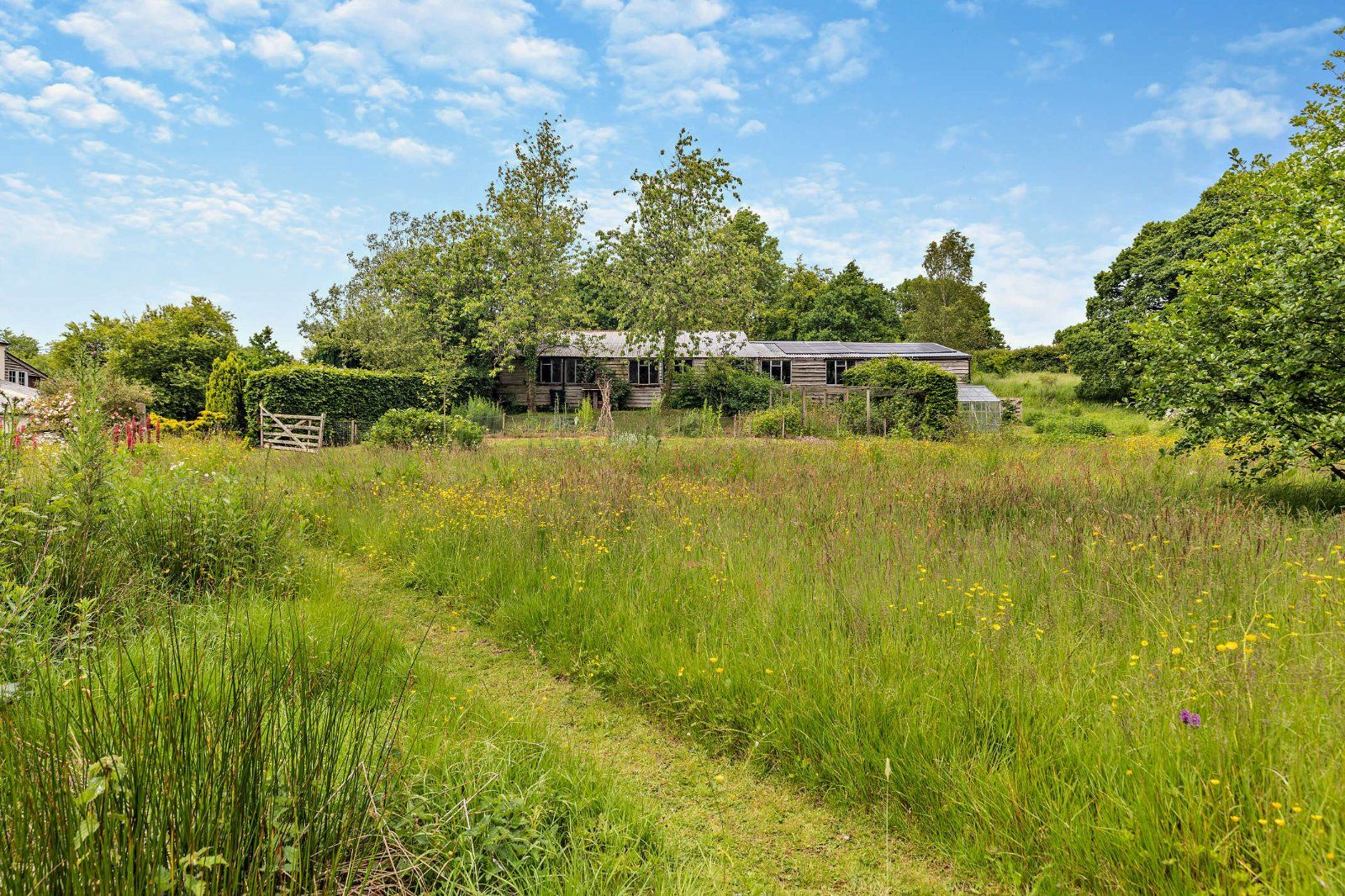Grounds