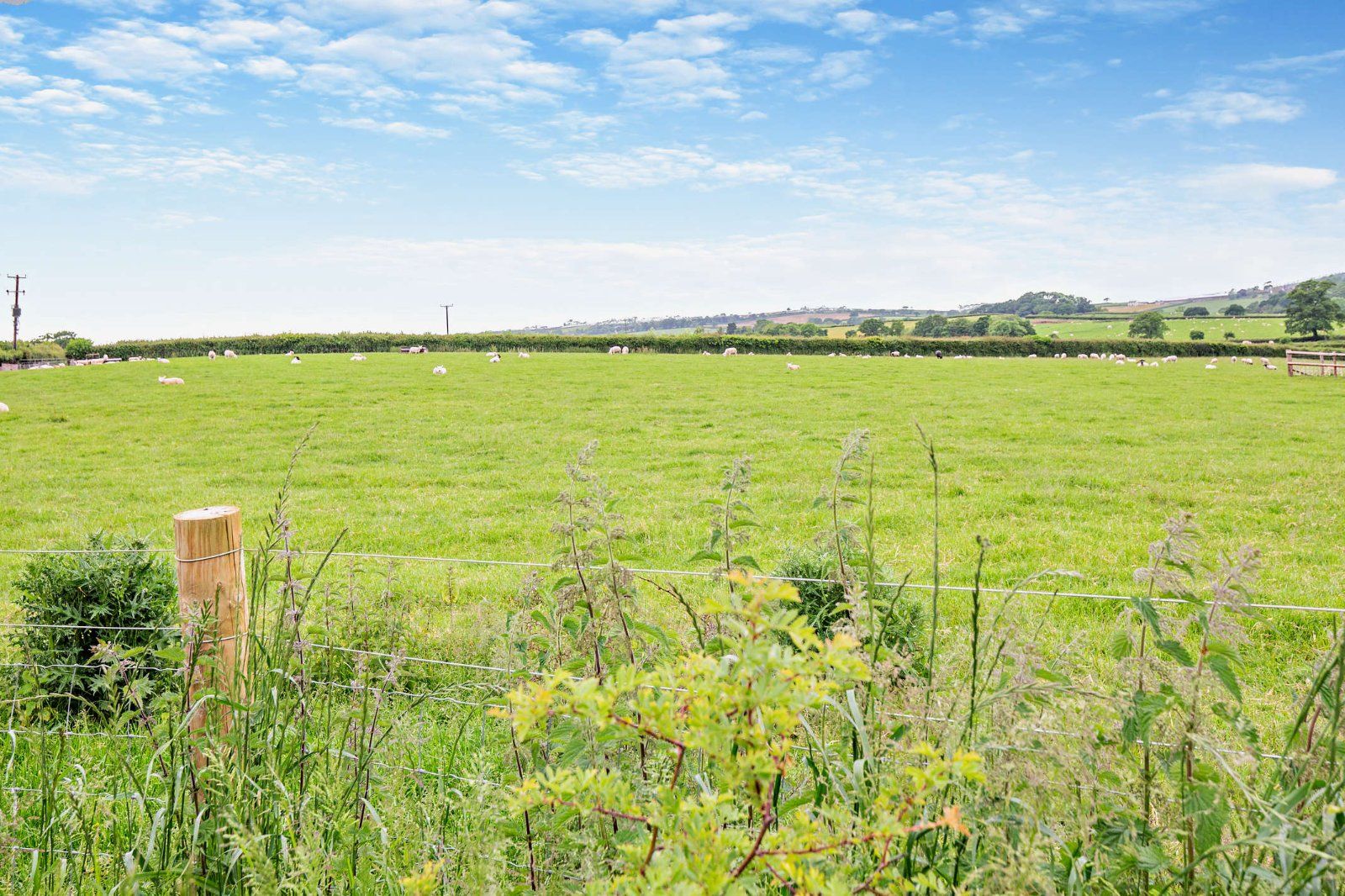 Rural View