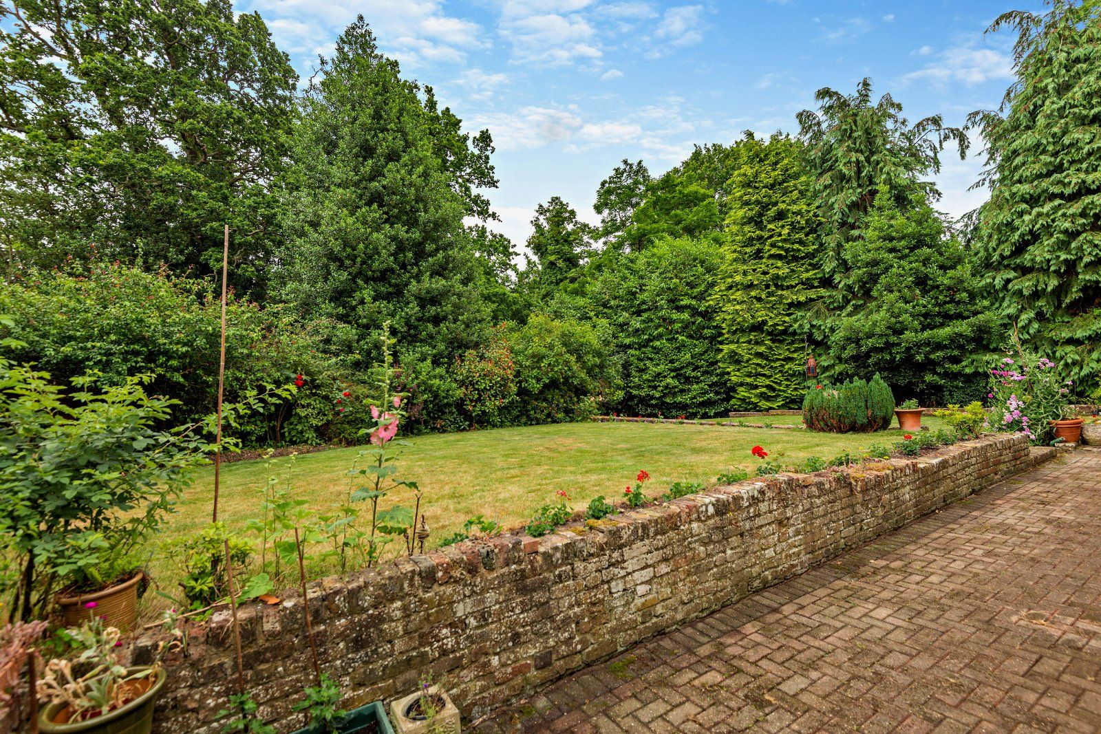 Patio & Rear Garden