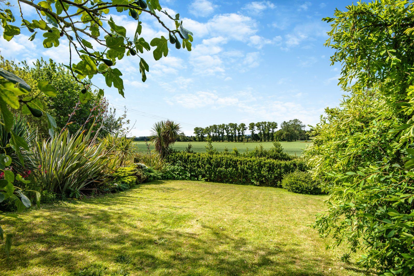 Garden/View