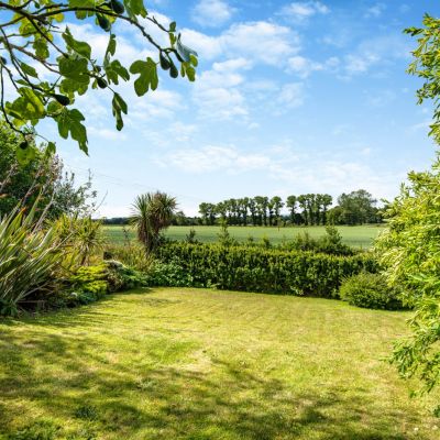 Garden/View