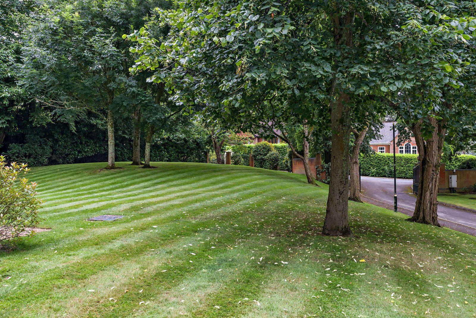 Communal Gardens