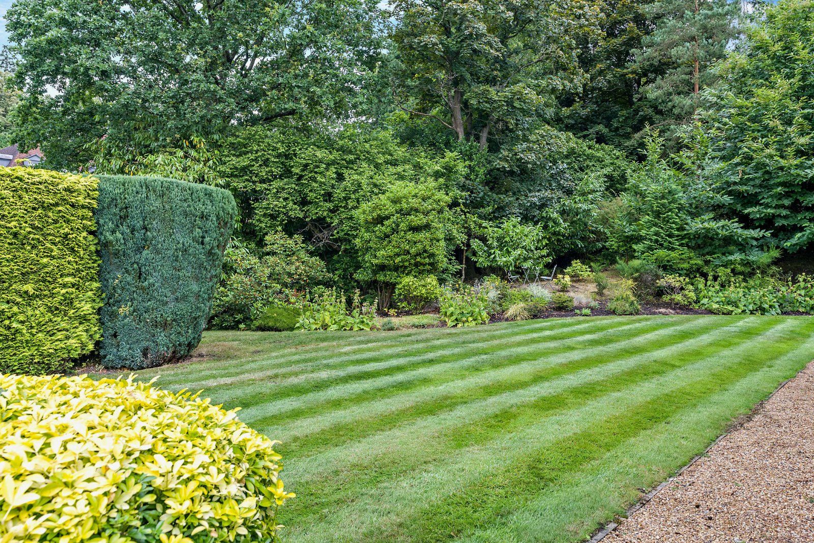 Communal Gardens