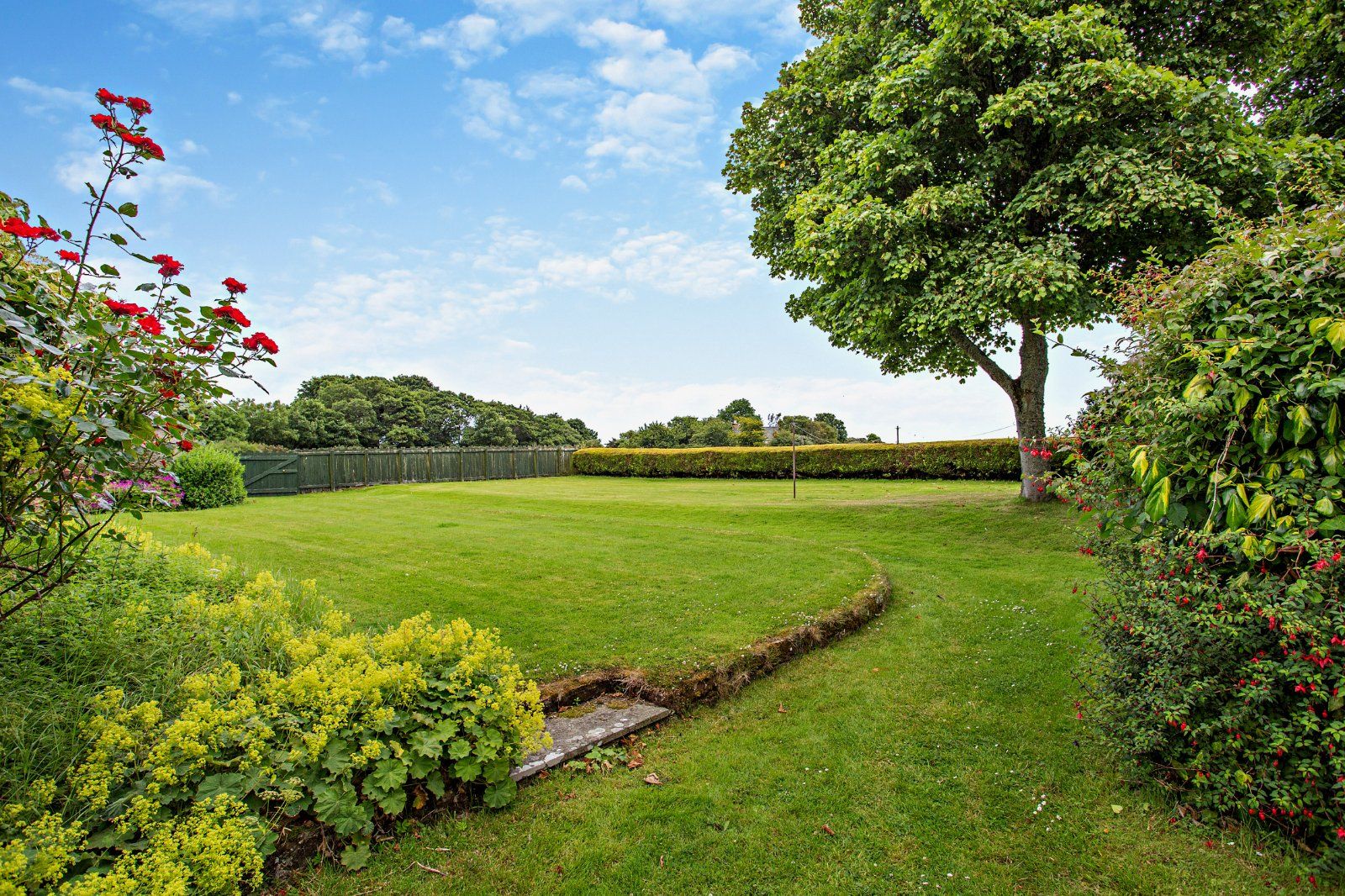 Ford Park