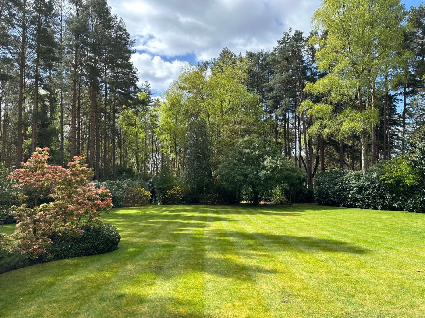Secluded Rear Garden