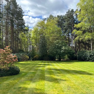 Secluded Rear Garden